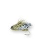 clark's cicada